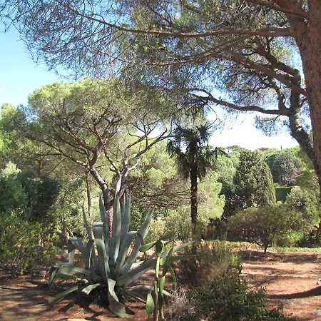 Les Girelles Saint-Tropez